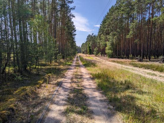 Leśna droga dla rowerów.
