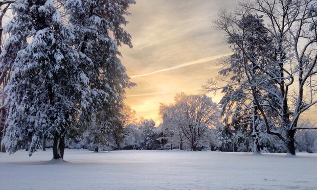 snow, Princeton