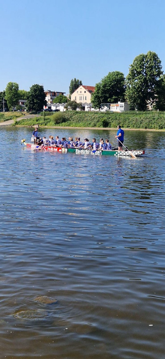 Blue Dragons im Drachenboot auf der Elbe in Dresden