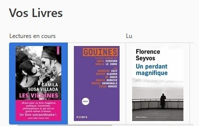Capture d'écran d'une interface BookWyrm. Le texte « Vos Livres », puis « Lecture en cours » avec la couverture de deux livres, Les Vilaines, et Gouines. A droite le texte « Lu » avec la couverture du livre Un perdant magnifique.