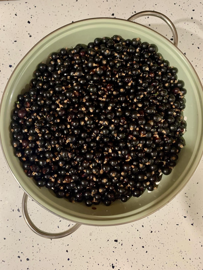 Blackcurrants in a green colander