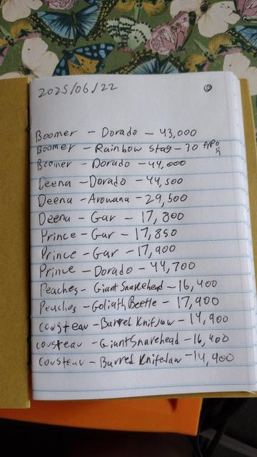 Little notebook serving as a ledger of sales. It lists villagers, what they bought, and how much they bought it for. The villagers are Boomer, Deena, Prince, Peaches, and Cousteau. Everyone bought three things, except Peaches who only bought two. All of the items for sale are fish and bugs, mostly fish. The most expensive sale was a Dorado sold for 44700 bells. The cheapest was a Rainbow Stag for 30 bells via typo.