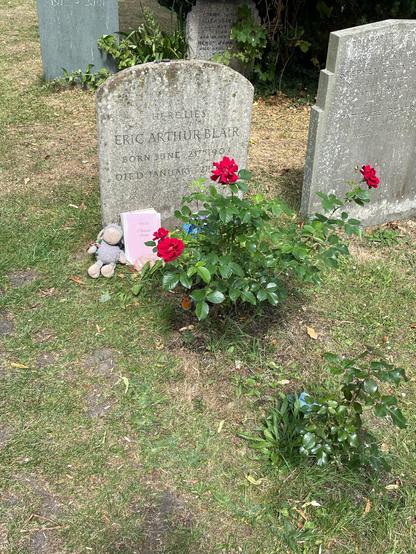 Photo of the grey sheep at Orwell‘s grave. On the grave someone left a Japanese copy of Animal Farm.