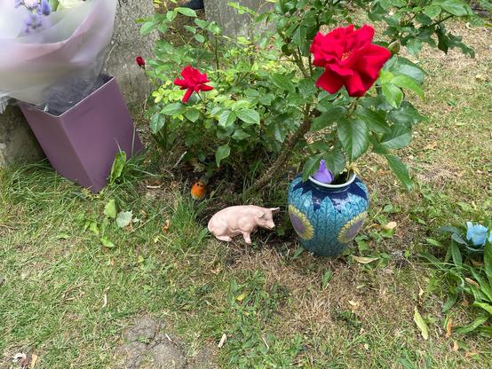 Photo of the items on Orwell‘s grave: a fresh big flower bouquet, a red rose that’s planted on the grave, a small statue of a pig and a vase. Also a small statue of a robin.