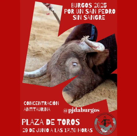 Toro agonizando en plaza de toros