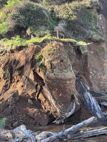 Eroded cliffside with exposed roots and rocks, a small stream at the base, and a "TRAIL" sign on top of the cliff.