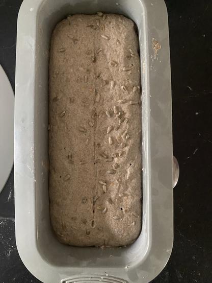 Sauerteig Teigling in einer Silikonbackform. Ein bisschen gewölbt und mit wenigen kleinen Bläschen an der Oberfläche.