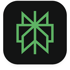 Perplexity Logo