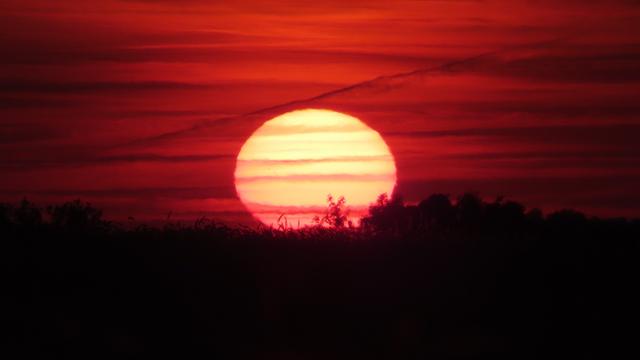 Sonne beim Untergehen.

Streifen durchzieht den blassgelben Stern.
Dunkelroter streifiger Himmel.

Ähren und Bäume weit entfernt im unteren Sonnenbereich.