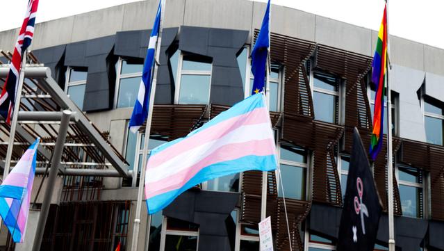 A colour photograph taken outside the Scottish Parliament, a modern building featuring a notable window design said to replicate a famous Scottish painting, "The Skating Minister".

In front of the parliament is a large flag with horizontal stripes blue, pink, white, pink and blue  - the "transgender pride flag", held by a marcher on the Pride march (who is not in the photograph).

There are also four flag poles in front of the parliament building. Left to right these are flying the Union flag, the Scottish saltire, the flag of the EU and a multiculoured Pride flag. There is little wind, so the flags are limp against the flagpoles.
