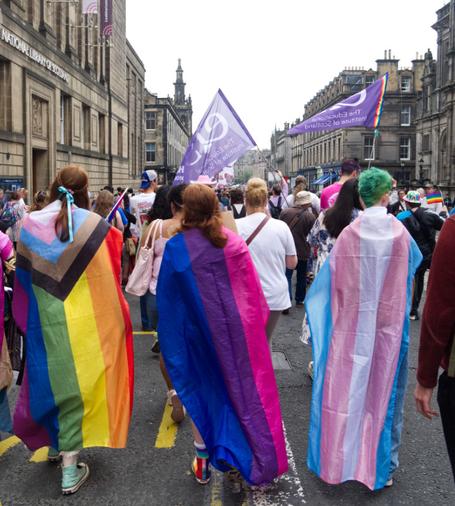 A colour photograph of the Edinburgh Pride passing the National Library of Scotland.

Nearest the camera are three people marching, seen from the back. They are each draped in a flag, from left to right the "Progress" pride flag (a flag of rainbow stripes with additional triangles of colour), the bisexuality pride flag (with stripes of red, purple and blue) and the transgender pride flag (with stripes of blue, pink, white, pink, and blue).

In front of them is a large crowd waving a variety of flags, placards, and banners.