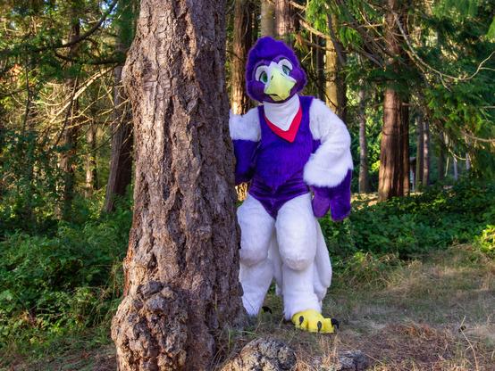 A photo of an eagle fursuit standing behind a tree