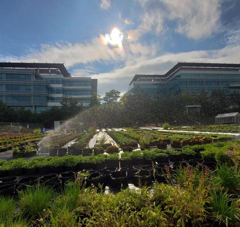 Urban farm with lush green plants being watered by sprinklers, under a bright sun, flanked by modern glass buildings. The scene feels vibrant and refreshing.