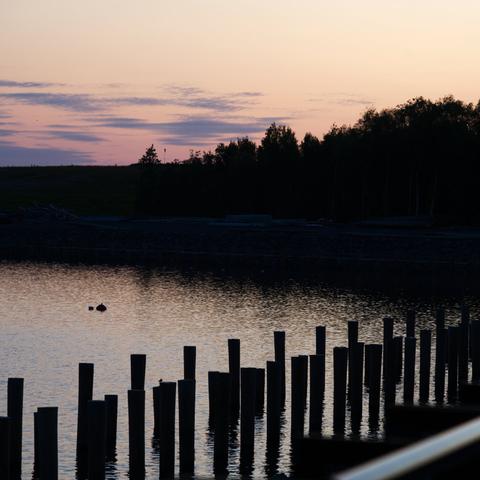 Silhouetted posts in calm harbour water during a midsummer midnight dusk. The sky has soft pink and orange hues, with dark trees lining the distant shore.