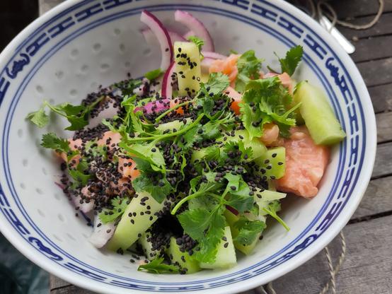 Eine Schüssel mit (rohen) Fisch-, Melonen- und Gurkenstücken und roten Zwiebeln, garniert mit Koriander und schwarzem Sesam.