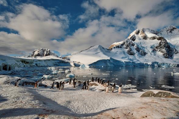 Penguins hanging out on a beach by a fjord, deciding whether or not to head out to sea to feed.

Sony A1, Sony 24-70mm - 1/125, f/4.0, ISO100