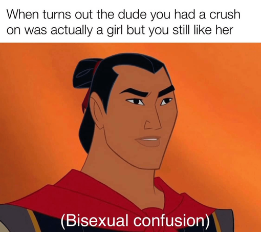 When turns out tje dude you had a crush on was a girl but you still like her *bisexual confusion*
Image is from Mulan