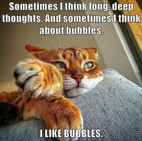 Large red tabby with ears back and grumpy contemplative look,  chin and upper body lying on a grey pillow, front legs to the left and crossed.

-Sometimes I think long, deep thoughts. And sometimes I think about bubbles. I like bubbles