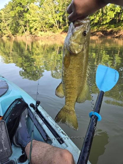 New small mouth pb.