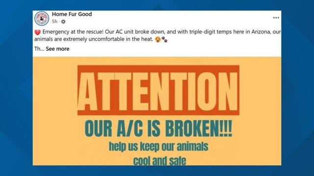 AZ animal shelter asking for donations after AC breaks down