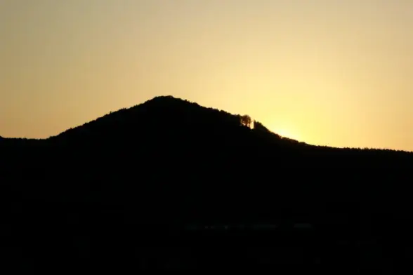 Trees are cut out from the hill/forest skyline where the sun sets during solstice.