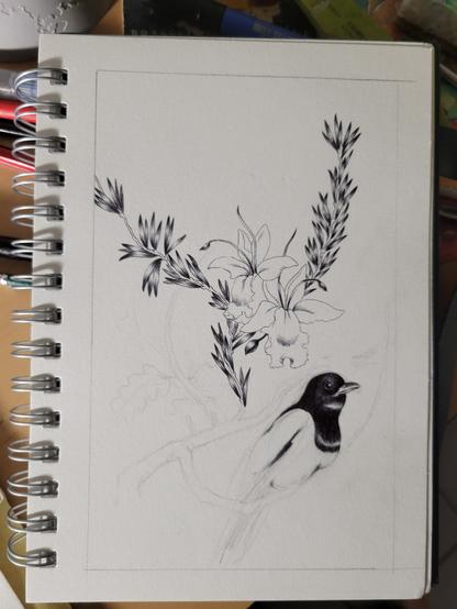 Détail du dessin au stylo bille noir : il n'est pas fini mais on y voit des fleurs, des branches de romarins et une pie