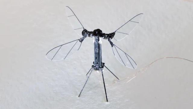 Micro droni cinesi? Zanzare robot pronte alla battaglia