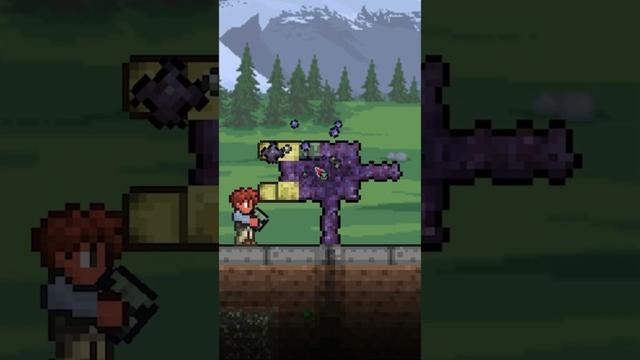 Can you guess these Terraria builds?