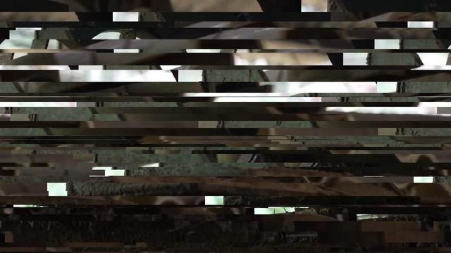 Random frame from a video sorted by random criteria, or stripes coloured by each frame of a video