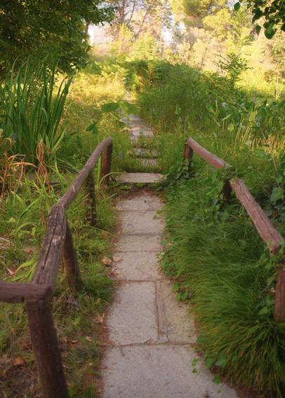 A short paved path with old wooden handrails. It is shadowy with sun in the distance