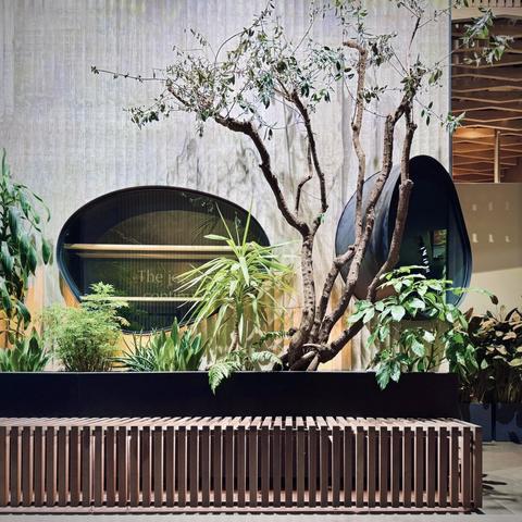 Numerous large plants tower over the back of a ridged, wooden bench under elliptical windows peering into what may be a spa, all under a vaulted, diffused skylight.