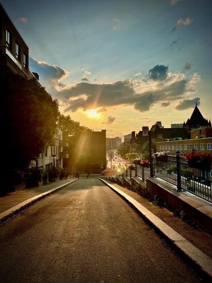The image presents a picturesque urban landscape at sunset, where the sun's warm rays illuminate the scene, creating a captivating interplay of light and shadow. A gently sloping street leads the viewer's eye downwards, flanked by lush greenery and vibrant flower pots that add a touch of color and life to the environment.
On either side of the road, modern buildings stand alongside more traditional architecture, showcasing a blend of styles that reflect the city's character. The sky is adorned with soft clouds, painted in hues of orange and pink, enhancing the tranquil ambiance.
In the distance, a few people can be seen strolling along the sidewalk, their silhouettes adding a sense of movement and community to the scene. The overall atmosphere is one of calm and serenity, inviting viewers to imagine themselves in this beautiful moment, enjoying the simple pleasures of an evening walk in the city.