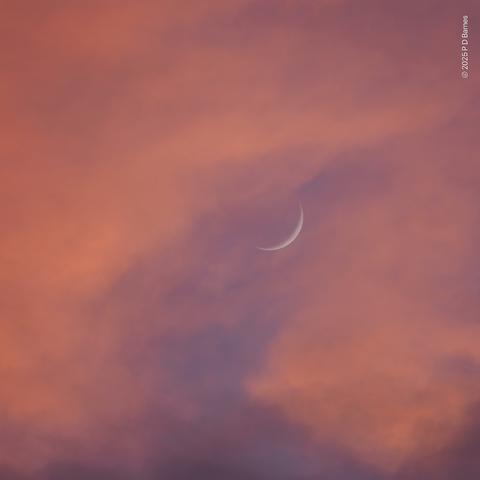 Diffuse pink sunrise clouds fill the image. A small, partial break in the cloud reveals the purple-blue sky behind, and the waning fingernail moon.