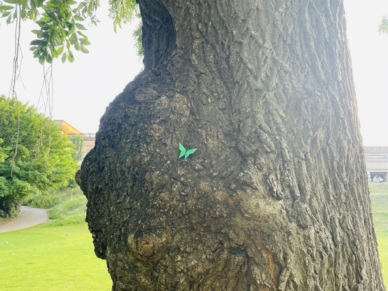 A green origami butterfly sits ever so delicately on the (knot?) of the willow tree