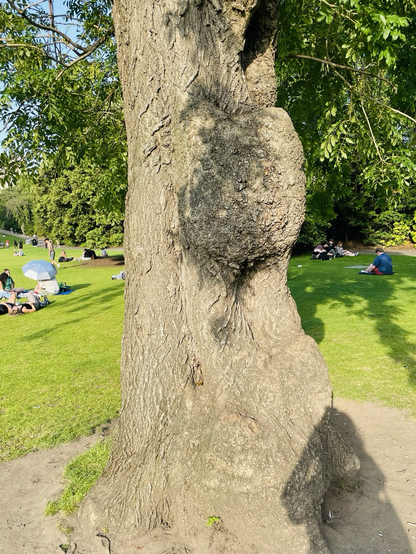 Somewhat close shot of the willow tree, you can faintly see a gold origami butterfly tucked away!