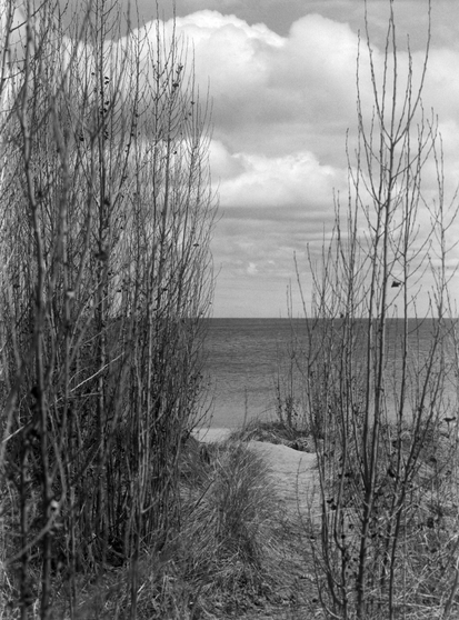 Looking at a path between tall shrubs towards Lake Ontario across the dunes of Hamilton Beach.