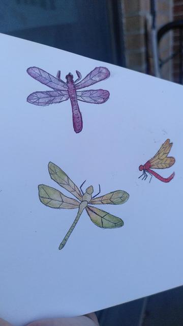 Trois libellules à l'aquarelle à paillettes et au stylo bille noir, une violette et mauve, une rouge et jaune et une verte et jaune