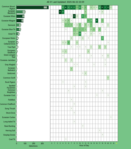 Today's top 20 bird chart