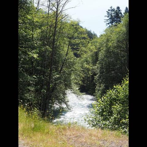 Photo by Neil E. Hodges on June 29, 2021. May be an image of nature, tree and body of water.