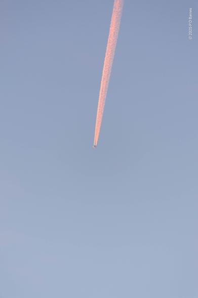 A an almost invisible jet is leaving a contrail plume behind in an otherwise pale blue sky. The trail, a single stroke from the top of the image to the centre, is lit pink by an invisible sunrise.