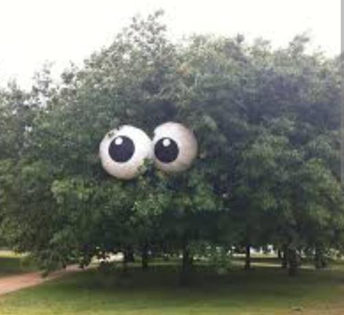 Tree with googly eyes