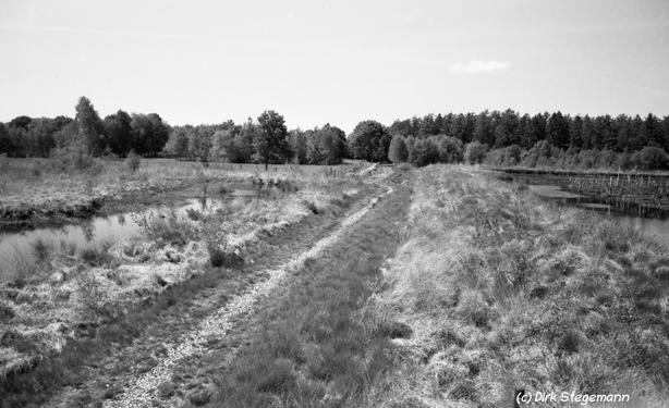 Das Naturschutzgebiet Theikenmeer bei Werlte
