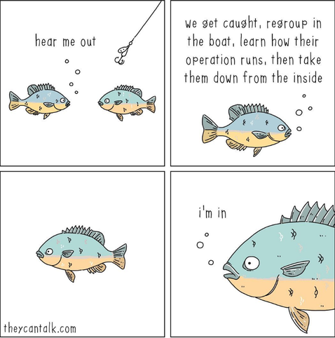 four panel THEYCANTALK.com cartoon showing two fish talking under water with a fishing hook above their heads
F1: hear me out. we get caught, regroup in the boat, learn how their operation runs, then take them down from the inside 
F2: ...
F2: I'm in
theycantalk.com