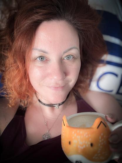 Guten Morgen Foto mit Fuchstasse vom Bett aus