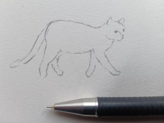 Zeichnung: Laufende Katze