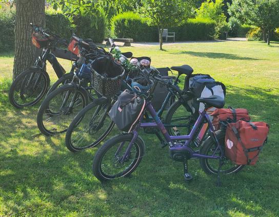 Sechs Fahrräder unterschiedlicher Bauart fertig zur Abfahrt mit Gepäcktaschen bestückt stehen auf einer Wiese im Schatten unter einem Baum