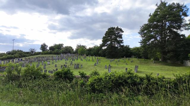 Ein weitläufiger, historischer jüdischer Friedhof, der sich sanft über einen grünen Hügel erstreckt. Zahlreiche, unterschiedlich geformte und verwitterte Grabsteine aus Stein, einige geneigt oder teilweise von Gras überwuchert, sind unregelmäßig über die gesamte Fläche des Hügels verteilt. Das Gras ist saftig grün und stellenweise hochgewachsen. Am Horizont zeichnen sich mehrere große, dunkle Nadelbäume ab, die einen Kontrast zum bewölkten Himmel bilden. Der Himmel ist bedeckt mit einer Mischung aus hellgrauen und dunkleren Wolken, die auf leicht bedecktes Wetter hindeuten. Im Vordergrund sind üppige Büsche und Gräser zu sehen, die eine natürliche Grenze zum Friedhof bilden. Die Gesamtstimmung ist ruhig und besinnlich.