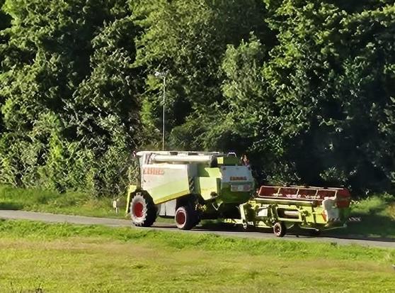 Mähdrescher im Einsatz