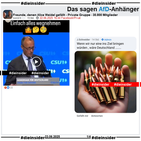Geteilt wird in der Gruppe "Freunde, denen Alice Weidel gefällt" ein kurzes Video vom CDU Parteitag Ende 2024, bei dem Friedrich Merz "private Investitionen in Infrastruktur" ins Gespräch bringt.

Admin J. Schneider kommentiert dazu "Wenn wir nur eine ins Ziel bringen würden , wäre Deutschland..." und teilt ein Bild mit einer "Handvoll Patronen".
