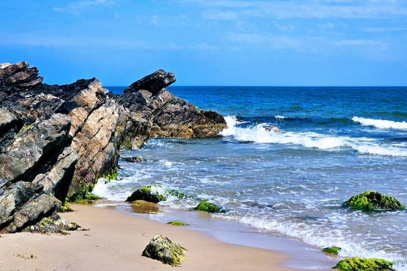 A sunlit sandy beach with dark, rugged rock formations on the left, leading into the gentle waves of a blue ocean under a clear blue sky. Some rocks in the foreground and near the water's edge are covered in vibrant green moss, and white foamy waves crash gently onto the shore.
